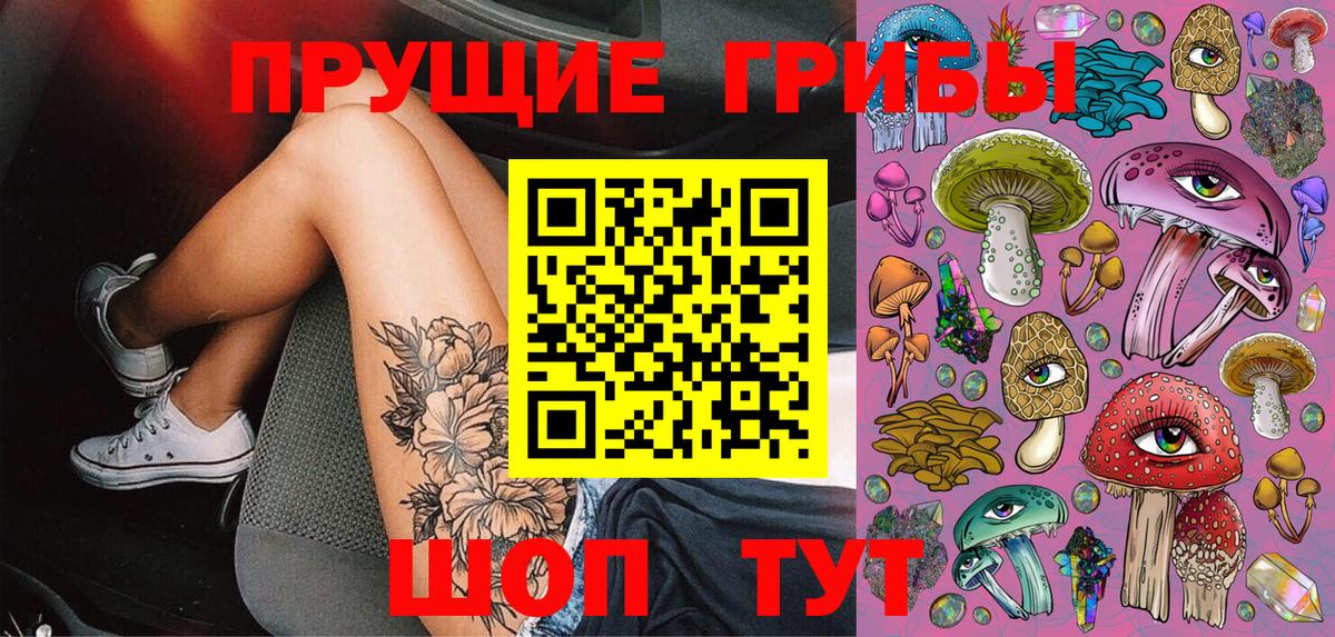 Комсомольск-на-Амуре  Псилоцибиновые грибы Cubensis  Вход с VPN 